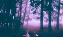 美丽的乡村夜晚_350字