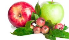 我喜欢的水果——苹果_250字