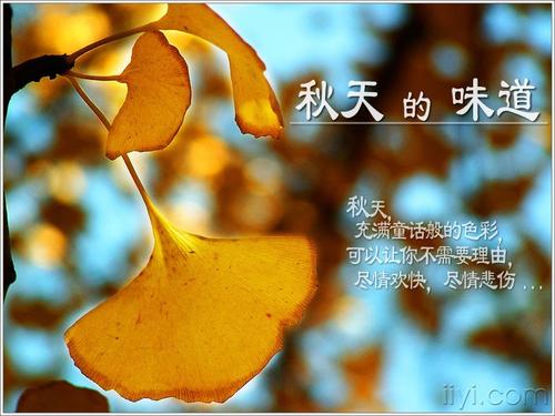 秋季味道_800字