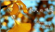 秋天的味道_800字