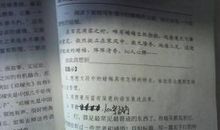 【微作文】友情_100字