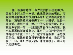 品味的构成：味道很好_450字
