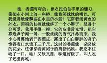 关于味道的作文：味道好极了_450字