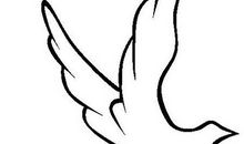 飞翔的和平鸽_400字