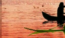 【微作文】相遇·相知·相识_200字