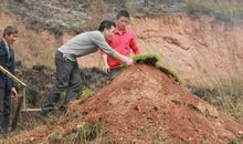 美丽的夏，我的至爱_1000字