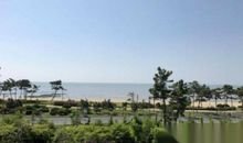 春天的海上庄园_1200字