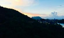 深圳我们美丽的家园_1000字