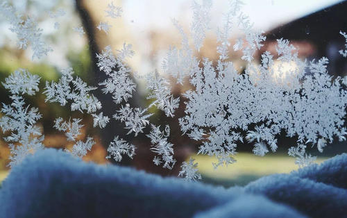 第一个美丽的雪_1200字