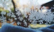 第一场美丽的雪_1200字