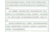 关于夏天的作文：夏天的乐趣_300字