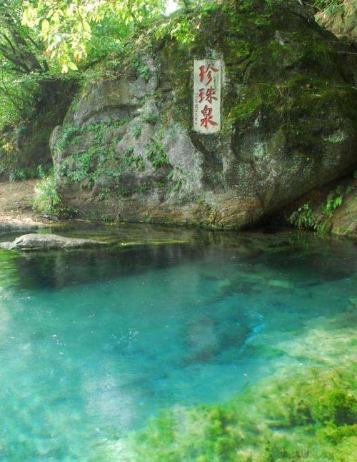 珍珠春季公园的乐趣_1200字