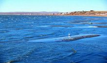 美丽的呼伦湖_600字