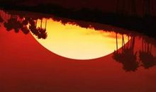 春天里的黄昏_700字