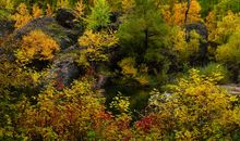 秋天的思索_550字