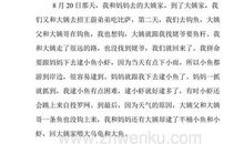 逮小鱼小虾_250字