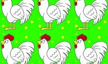 可爱的公鸡_250字