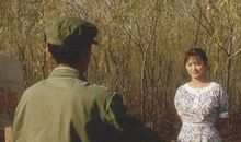 阳光灿烂的日子_350字