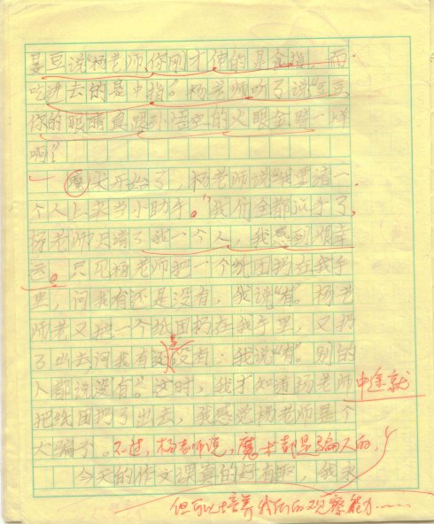 一个有趣的作文_600字