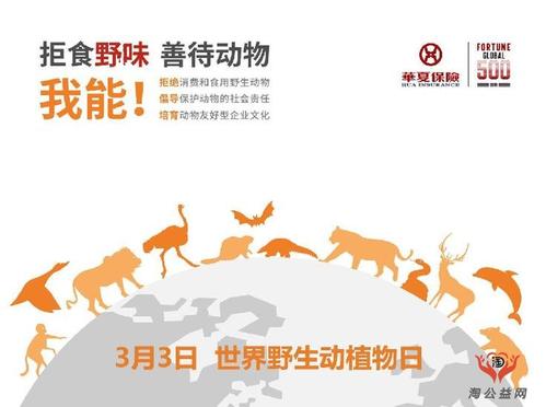善待动物_900字