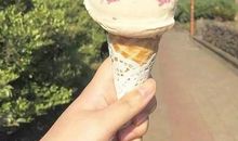 我心爱的玩具_300字