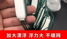 大网扑鱼_250字