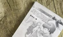 《皮皮鲁和生化保姆》读后感_550字