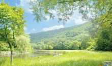 高二写景作文：春天的田野_900字