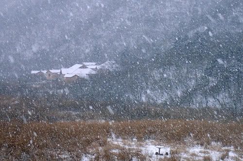 雪，_900字