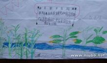 我爱家乡的四季_1200字