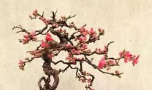 师生的！恩情_900字