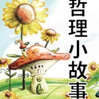 哲学故事：痛苦的容器_200字