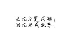哲理故事素材：宁静的真谛_350字