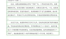 【微作文】生命的光辉_100字