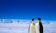 我们都老得太快，却明白得太迟_250字