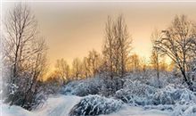 勺子刨下的“雪历史”_500字