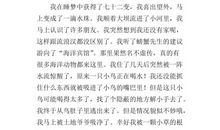 一年级想象作文：如果我有四色花_350字