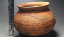 皮大王陶陶_700字