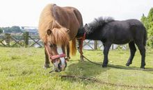 有一种爱最伟大_650字