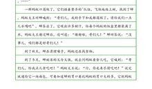 【微作文】知了·生命_250字