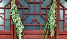 端午悬艾叶、菖蒲、蒜头
