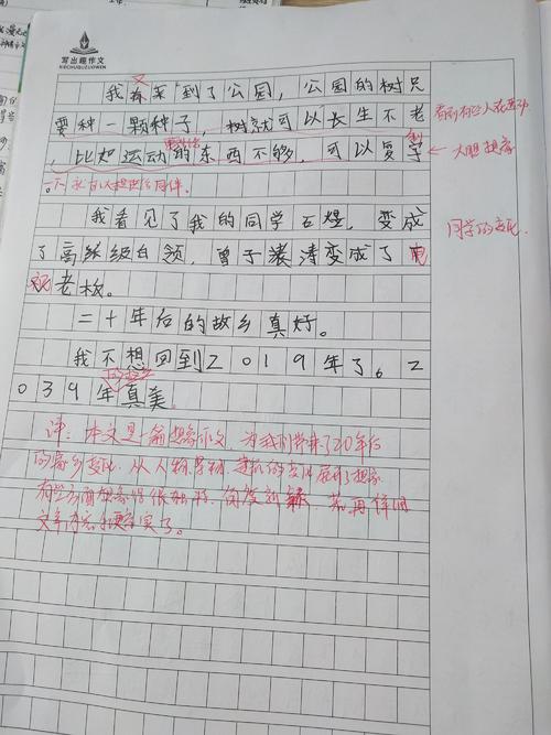 在一年级的虚构构图：20年后回到家乡_450字