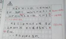 一年级想象作文：二十年后回故乡_450字