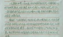 阳光少年，我的好伙伴_550字