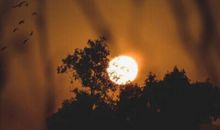 那一夜的月色_500字