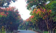 【学生征文选登93】：跳起来，是为了够得更高_3000字