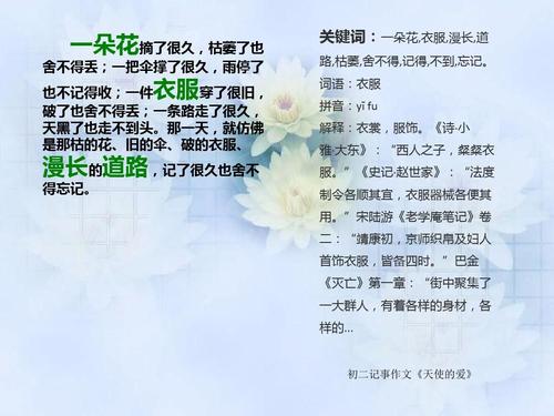 真正的爱_1200字