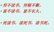 “开卷有益”辩论会_550字