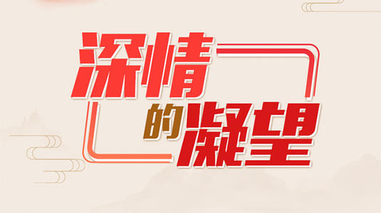 最深情的冷凝_550字