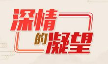 最深情的凝望_550字